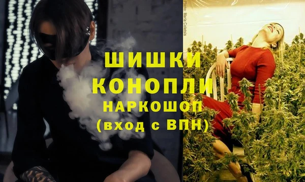 сатива Вяземский