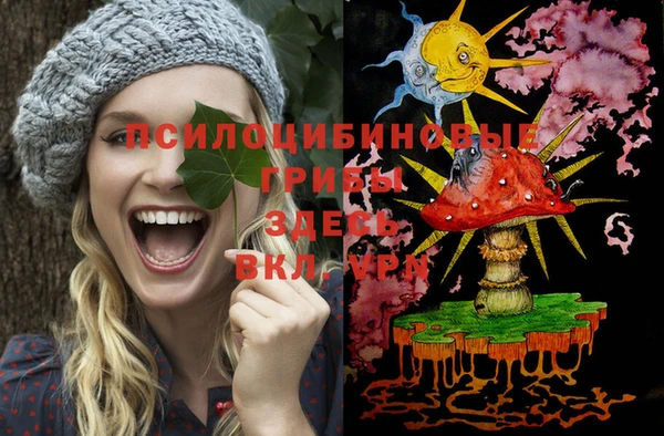 сатива Вяземский