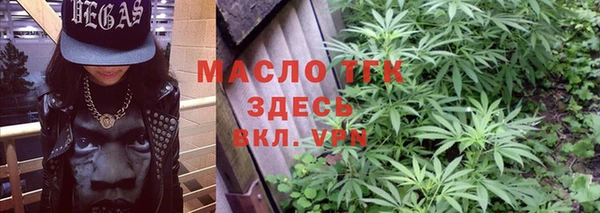 сатива Вяземский