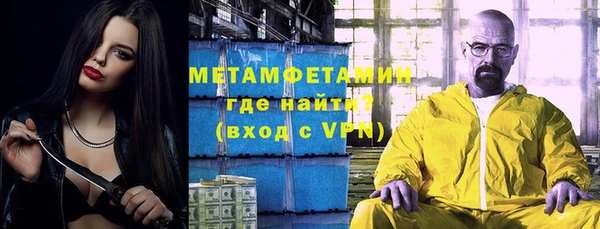 сатива Вяземский