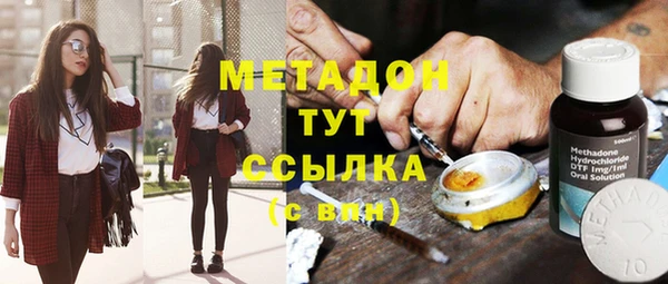 сатива Вяземский